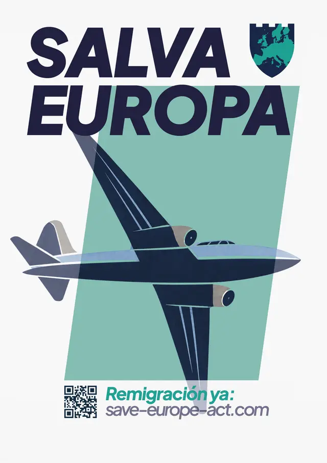 Poster 3 - Airplane