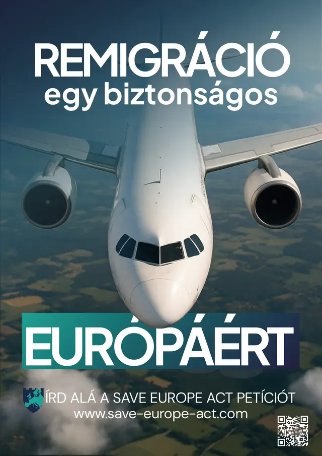 Poster 2 - Airplane