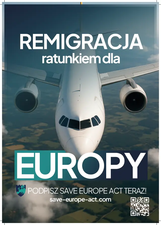 Poster 2 - Airplane