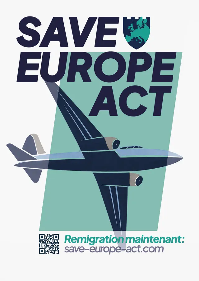 Poster 3 - Airplane