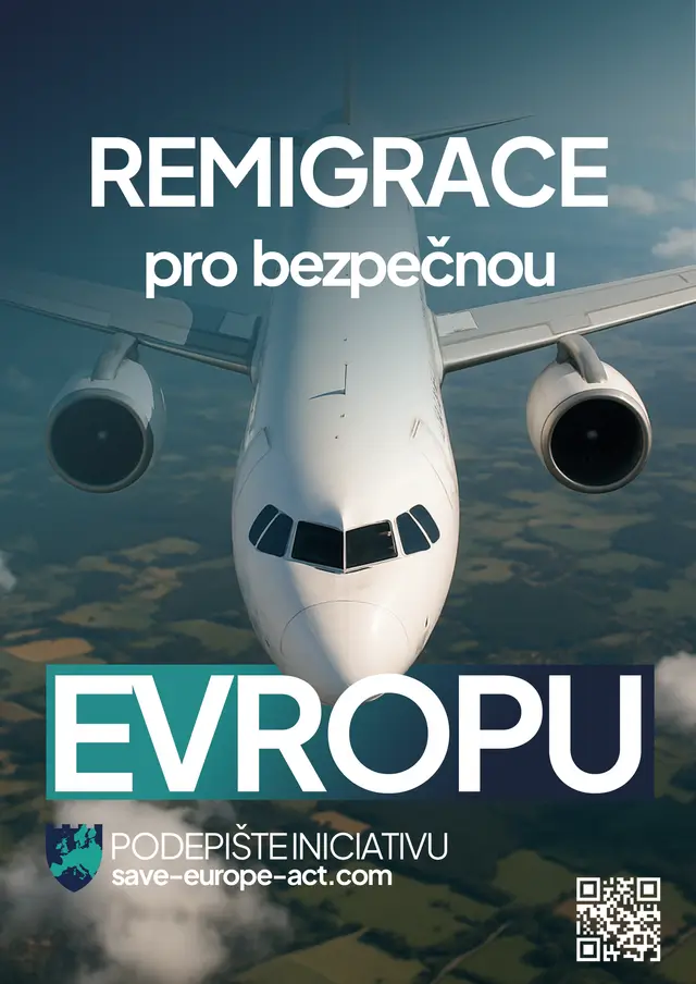 Poster 2 - Airplane